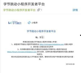 头条小程序测试标题,测试标题背后的创新与突破