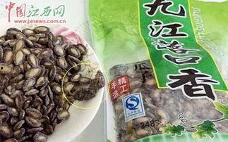 沙井盖吃瓜的老鼠,老鼠视角下的都市生活