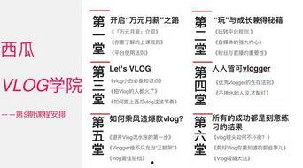 头条vlog 领域,头条领域Vlog创作攻略解析