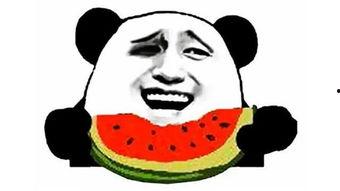 吃瓜搞笑微信,微信里的欢乐盛宴