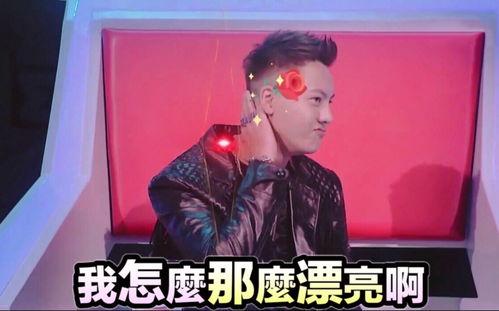 狗血吃瓜3,揭秘娱乐圈背后的惊天秘密