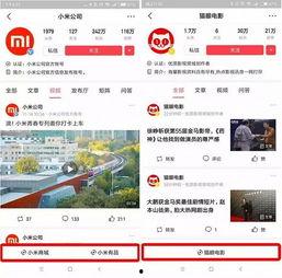 头条小程序文档,功能解析与开发指南