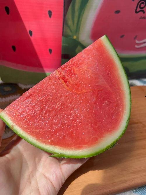 免费吃瓜01,揭秘网络热点的背后真相