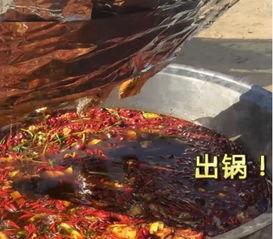 清华才女吃瓜视频,揭秘校园生活趣味瞬间