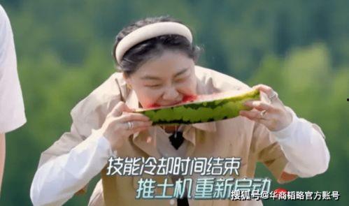 努力吃瓜看报,洞察时事，品味生活